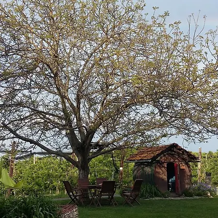 Obstgut Ledinegg Отель типа 