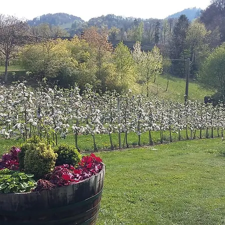 Obstgut Ledinegg Отель типа 