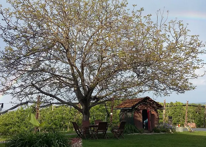 Obstgut Ledinegg فندق مبيت وإفطار إيهرينهاوزين