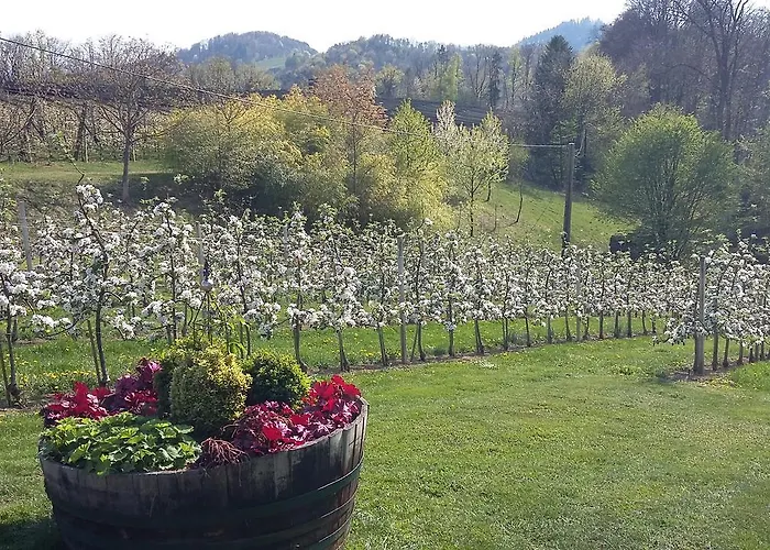 Obstgut Ledinegg Отель типа 